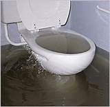 clogged toilets rush 1 hour time response service for emergency plumber nyc